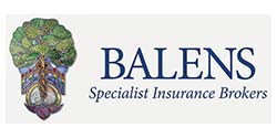 Balens Professional Insurance